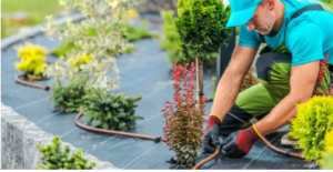 top rank gardening services