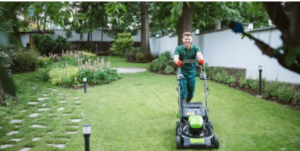 landscapers
