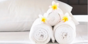 towel services near me