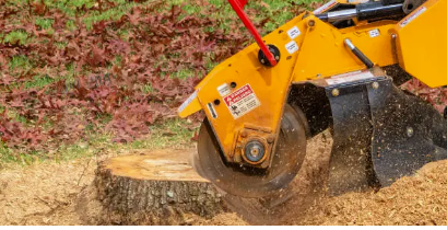 Stump Removal Adelaide Hills’ The Complete Guide for Homeowners and Landscapers